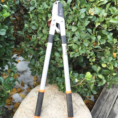 进口园林园艺工具 精选粗枝剪与果树大力剪，好评好店指南