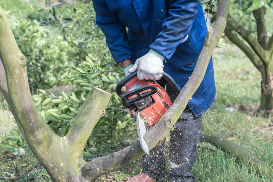 园林剪刀与园林工具 园艺爱好者的得力助手