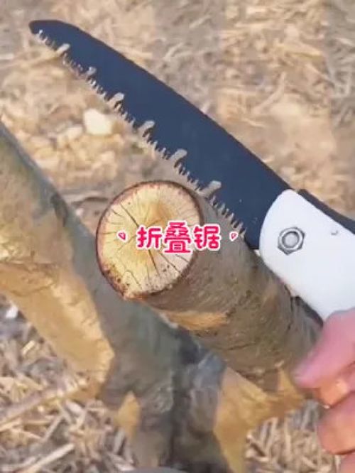 德国品质，匠心之选 探索德国进口折叠手工锯在园林工具中的卓越应用